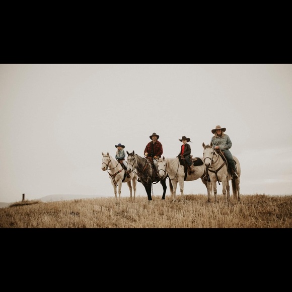 Meet your Posher, Christina - Picture 8 of 8